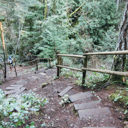 The steep Cascade Trail down to McKenzie Bight in Gowlland Tod Provincial Park.