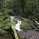 A small waterfall along Matheson Creek in Roche Cove Regional Park