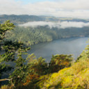 A view high above the Saanich Inlet from Jocelyn Hill via the Caleb Pike route.