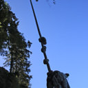 The rope swing dangles from a tree high above along Mystic Beach