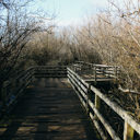 The floating wooden bridge along the trail around Swan Lake in Victoria, BC.